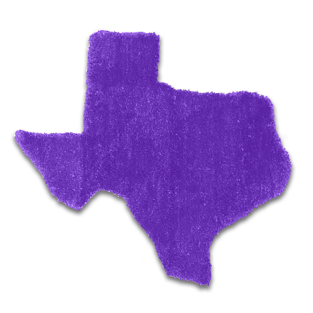 Purple Texas Rug